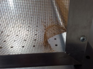 Thumbnail image of TMC Model 63-554 Vibration Isolation Optical Table with Faraday Cage Lab
