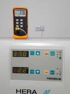 Thumbnail image of Heraeus Hera Cell 150 CO2 Laboratory Incubator Lab