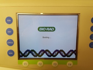 Thumbnail image of Bio-Rad C1000 Thermal Cycler with CFX96 Optics Module RT-PCR Lab