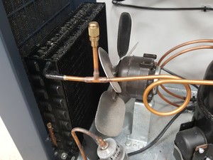 Thumbnail image of New Brunswick C660 -86 Freezer