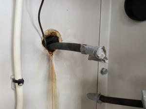 Thumbnail image of New Brunswick C660 -86 Freezer