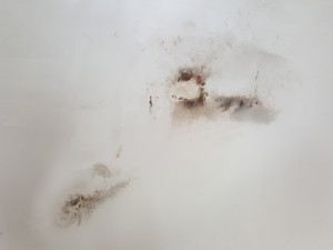 Thumbnail image of ADC American Dryer ADG Gas Tumble Dryer 