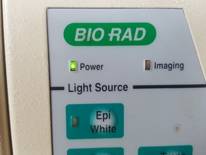 Thumbnail image of Bio-Rad Universal Hood Gel Doc UV Imaging System Lab