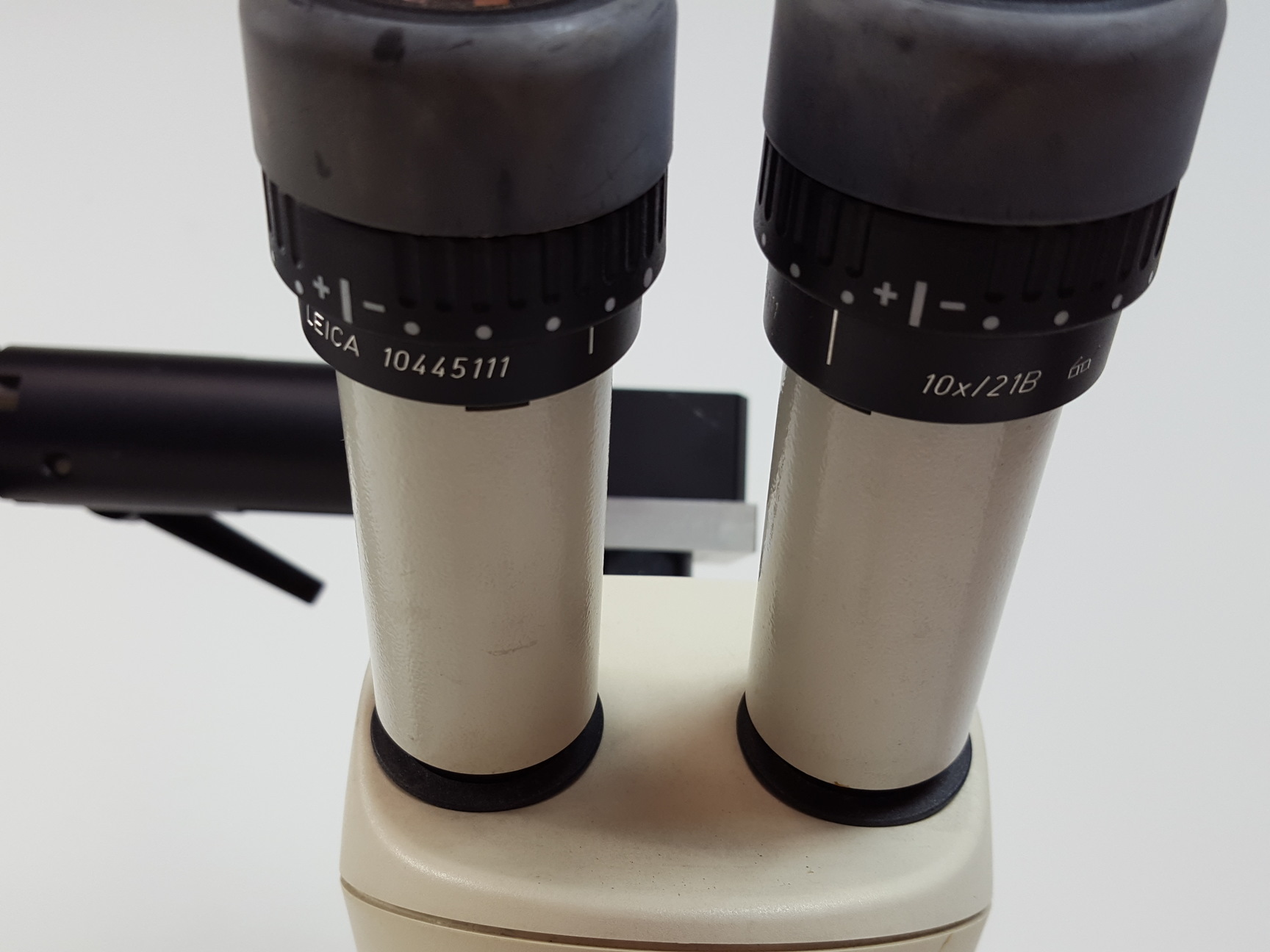 Image of Leica MZ6 Long-Arm Stereo Zoom Microscope Lab