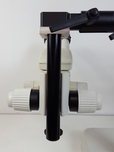 Thumbnail image of Leica MZ6 Long-Arm Stereo Zoom Microscope Lab