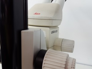 Thumbnail image of Leica MZ6 Long-Arm Stereo Zoom Microscope Lab