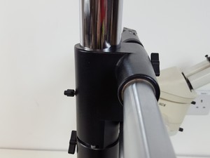 Thumbnail image of Leica MZ6 Long-Arm Stereo Zoom Microscope Lab