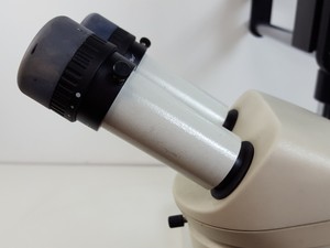 Thumbnail image of Leica MZ6 Long-Arm Stereo Zoom Microscope Lab