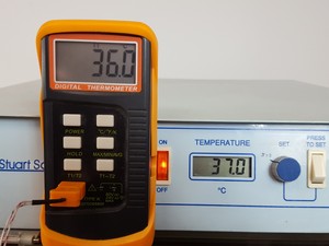 Thumbnail image of Stuart SI50 Scientific Orbital Shaking Incubator