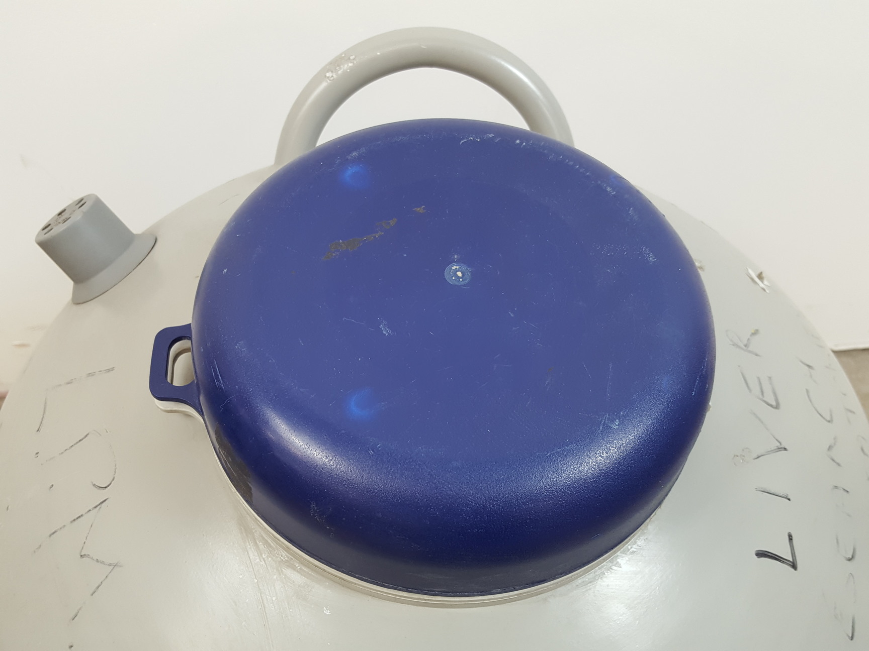Image of Statebourne Cryogenics Biorack Liquid Nitrogen Dewar Lab