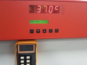 Thumbnail image of Binder Model IP 20 Laboratory Oven Lab