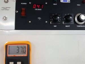 Thumbnail image of Percival Scientific Refrigerated Growth Chamber Model - I-36LLVL Lab 