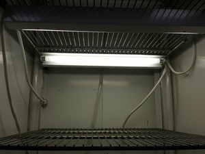 Thumbnail image of Percival Scientific Refrigerated Growth Chamber Model - I-36LLVL Lab 