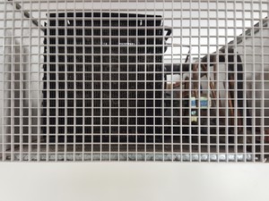 Thumbnail image of Percival Scientific Refrigerated Growth Chamber Model - I-36LLVL Lab 