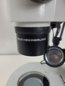 Thumbnail image of Wild Heerbrugg MD Laboratory Stereo Microscope Lab 404891 Phototube 304490