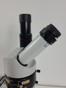 Thumbnail image of Wild Heerbrugg MD Laboratory Stereo Microscope Lab 404891 Phototube 304490