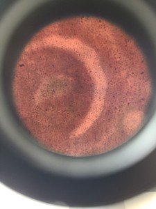 Thumbnail image of Reichert-Jung Polyvar 300602 Microscope & 4 Objectives - Austria 4, 10, 25, 40 