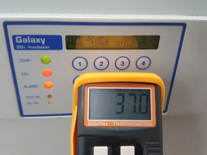 Thumbnail image of RS Biotech Galaxy CO2 Incubator  Model - 170 Lab