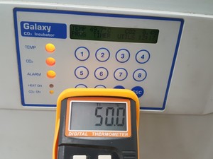 Thumbnail image of RS Biotech Galaxy CO2 Incubator  Model - 170 Lab