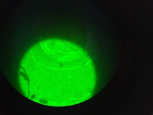 Thumbnail image of Olympus BH-2 Microscope w/ 3 x Objectives - DPlan 10 0.25 160/0.17, SPlan Apo 