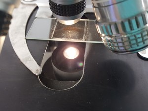 Thumbnail image of Olympus BH-2 Microscope w/ 3 x Objectives - DPlan 10 0.25 160/0.17, SPlan Apo 