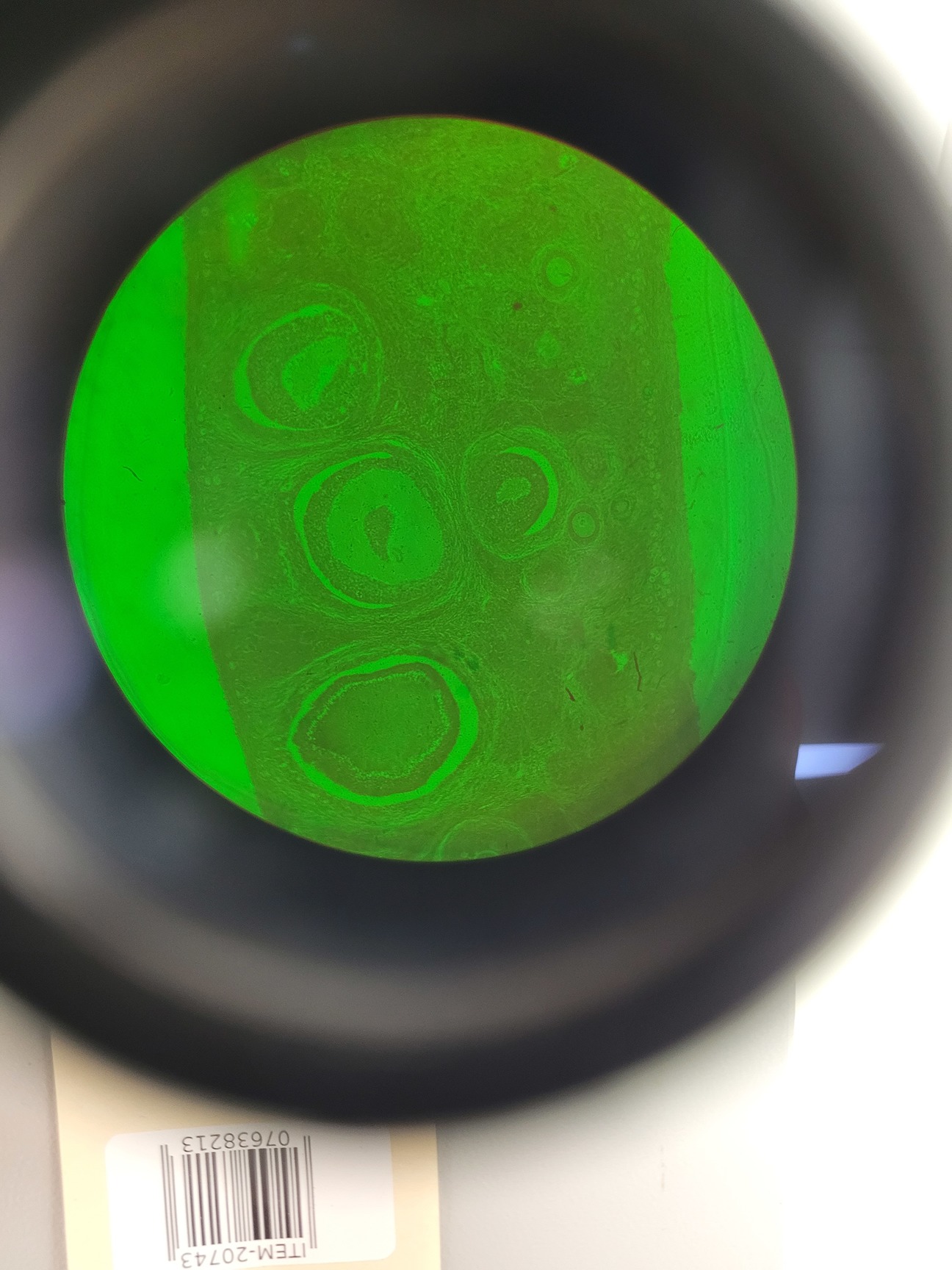 Image of Carl Zeiss IM Inverted Microscope with 6 x Objectives Lab Spares/Repairs