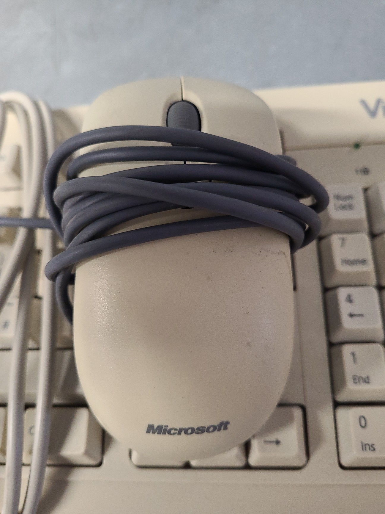 Image of Strathkelvin Instruments SI500 Strathtox Precision Respirometer with Software La