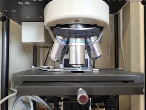 Thumbnail image of Bruker IFS 66 FT-Raman Spectrometer System with Nikon Optiphot, Compressor Lab 