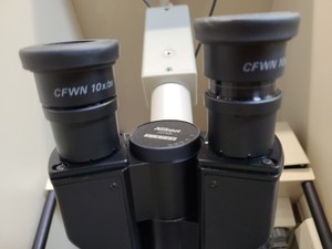 Thumbnail image of Bruker IFS 66 FT-Raman Spectrometer System with Nikon Optiphot, Compressor Lab 