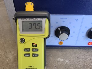 Thumbnail image of Leader Engineering Laboratory Incubator Model GP/150/CLAD/VIS/SD/100/HYD Lab