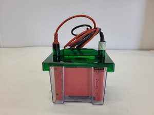 Thumbnail image of Lot of Bio-Rad Gel Electrophoresis Cells - Mini Protean Tetra, Sub GT Wide Mini 