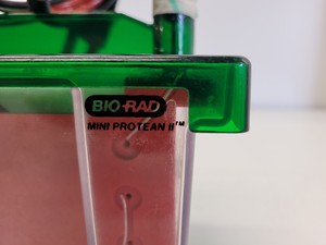 Thumbnail image of Lot of Bio-Rad Gel Electrophoresis Cells - Mini Protean Tetra, Sub GT Wide Mini 