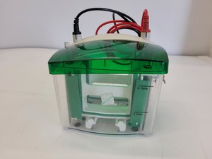 Thumbnail image of Lot of Bio-Rad Gel Electrophoresis Cells - Mini Protean Tetra, Sub GT Wide Mini 