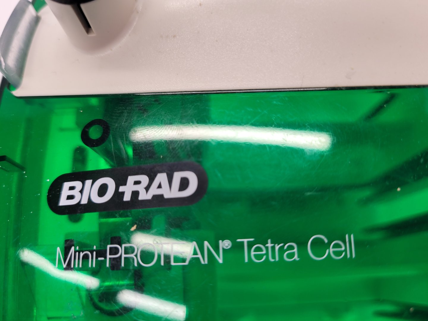 Image of Lot of Bio-Rad Gel Electrophoresis Cells - Mini Protean Tetra, Sub GT Wide Mini 