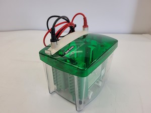 Thumbnail image of Lot of Bio-Rad Gel Electrophoresis Cells - Mini Protean Tetra, Sub GT Wide Mini 