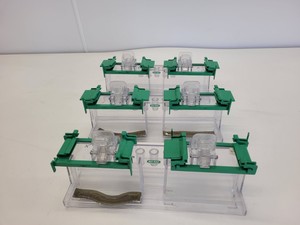 Thumbnail image of Lot of Bio-Rad Gel Electrophoresis Cells - Mini Protean Tetra, Sub GT Wide Mini 