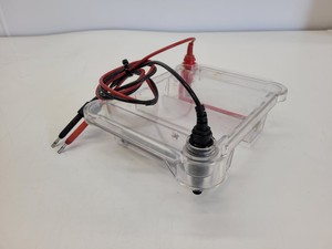 Thumbnail image of Lot of Bio-Rad Gel Electrophoresis Cells - Mini Protean Tetra, Sub GT Wide Mini 