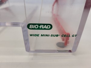 Thumbnail image of Lot of Bio-Rad Gel Electrophoresis Cells - Mini Protean Tetra, Sub GT Wide Mini 