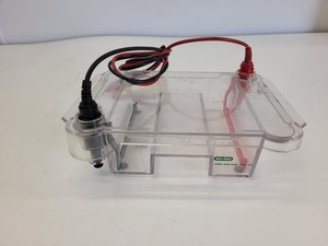 Thumbnail image of Lot of Bio-Rad Gel Electrophoresis Cells - Mini Protean Tetra, Sub GT Wide Mini 