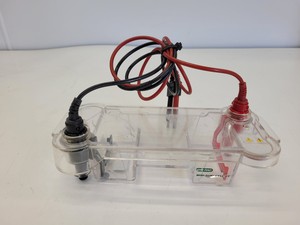 Thumbnail image of Lot of Bio-Rad Gel Electrophoresis Cells - Mini Protean Tetra, Sub GT Wide Mini 