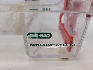 Thumbnail image of Lot of Bio-Rad Gel Electrophoresis Cells - Mini Protean Tetra, Sub GT Wide Mini 