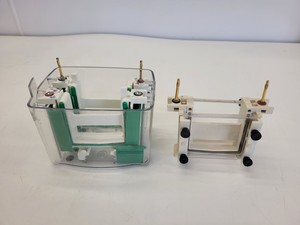 Thumbnail image of Lot of Bio-Rad Gel Electrophoresis Cells - Mini Protean Tetra, Sub GT Wide Mini 