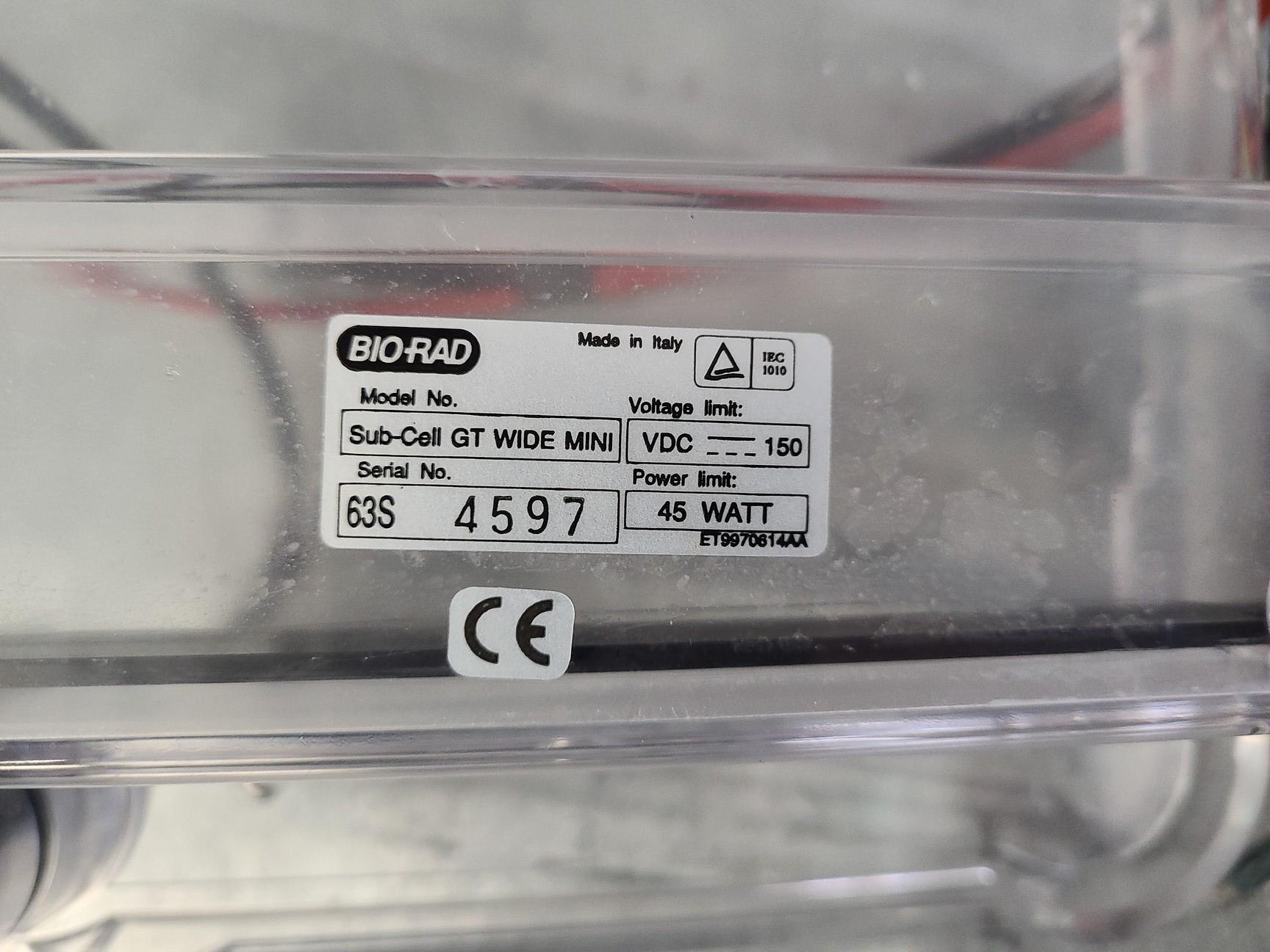 Image of Lot of Bio-Rad Gel Electrophoresis Cells - Mini Protean Tetra, Sub GT Wide Mini 