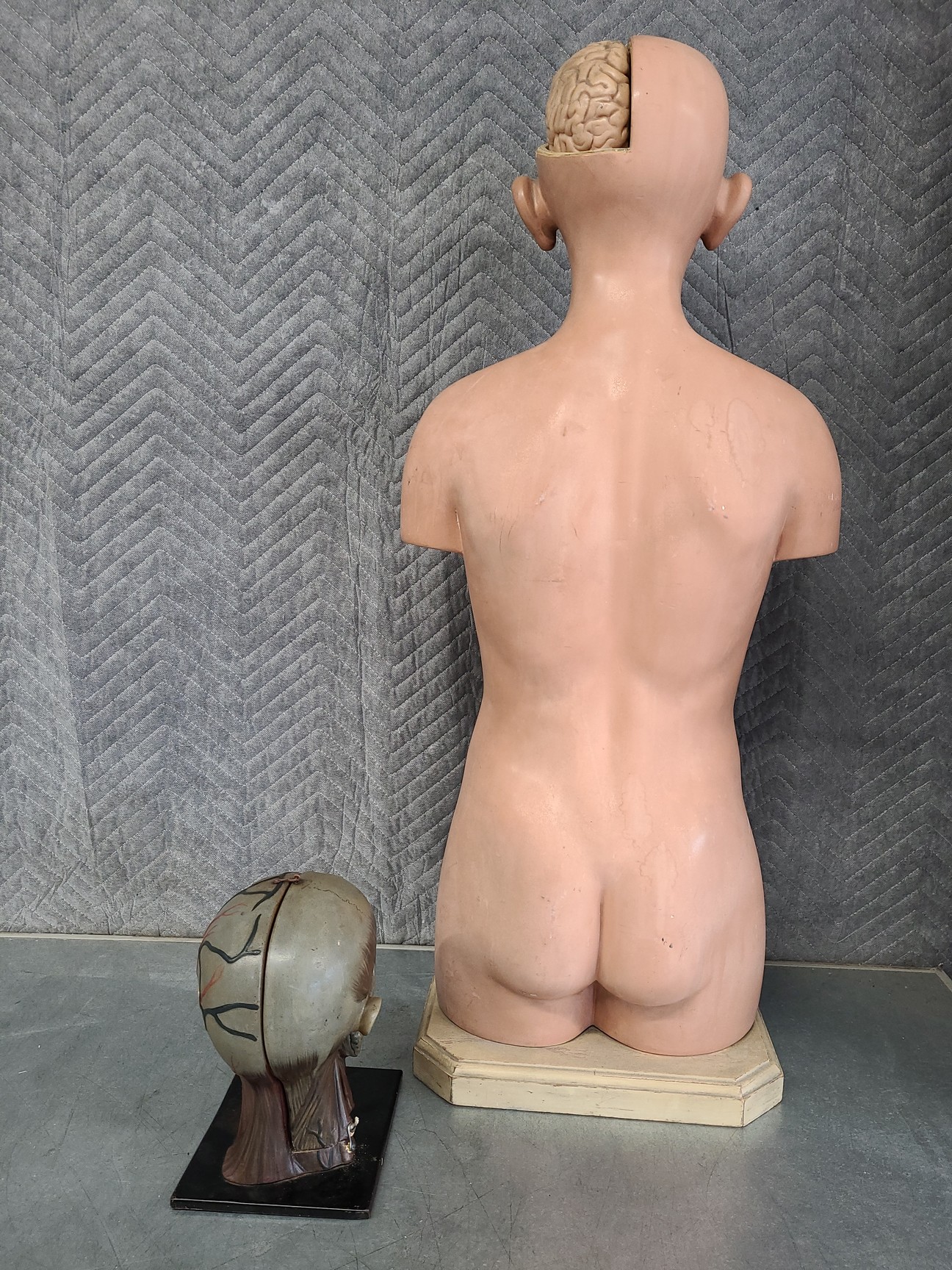 Image of Pair of Vintage Human Medical Anatomical Teaching Models - Full Torso & Head