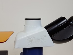 Thumbnail image of Ceti Inverso TC100 LED Inverted Biological Microscope + FI Model: 3660.8000 Lab 