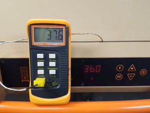 Thumbnail image of Infors HT Standard Multitron Refrigerated Shaking Incubator (2014) Lab