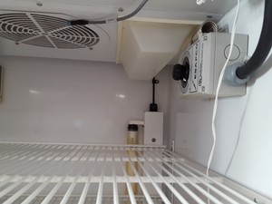 Thumbnail image of Darwin Chambers Insect Rearing Chamber  Model: IN024-DA Lab