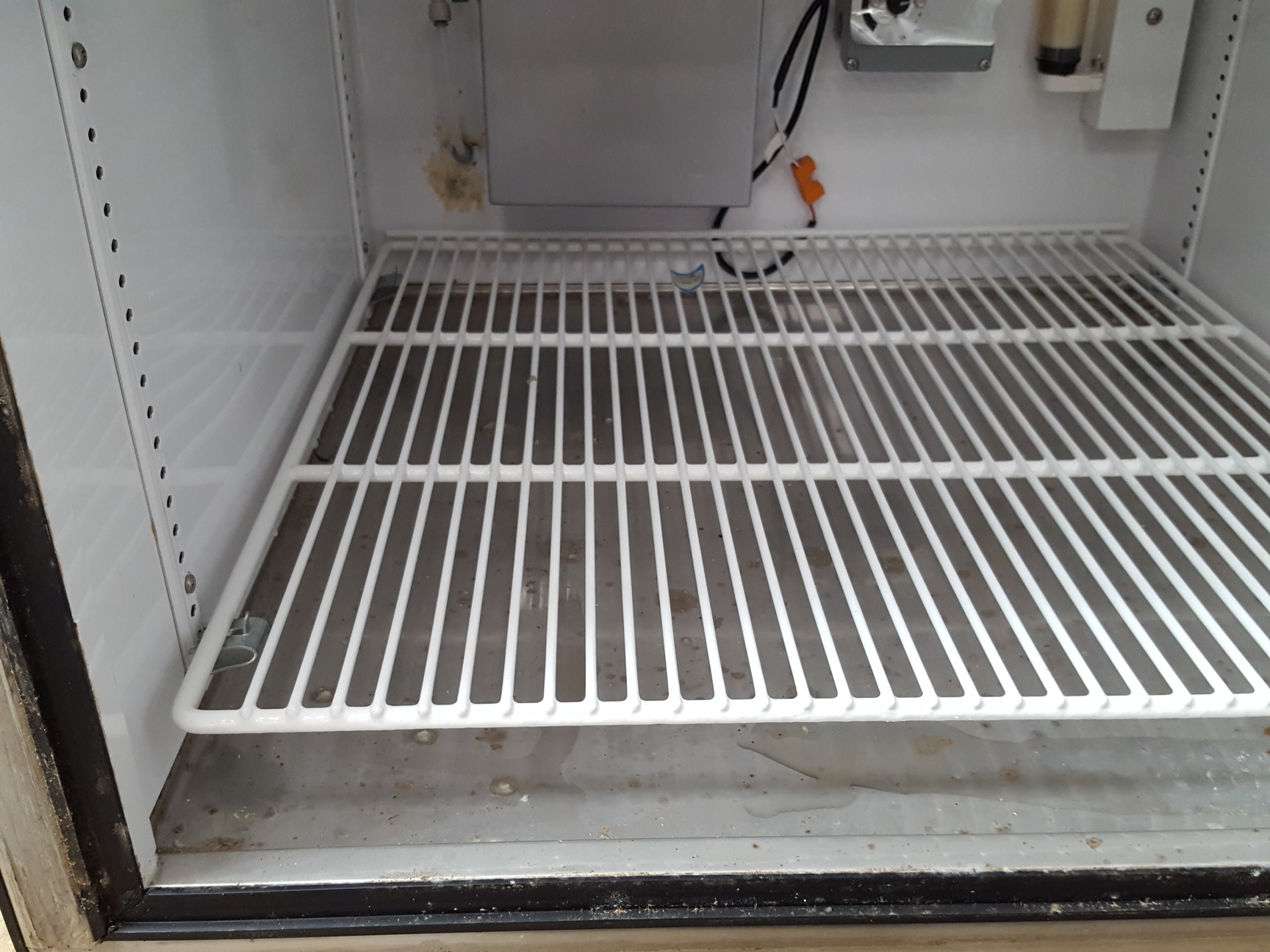 Image of Darwin Chambers Insect Rearing Chamber  Model: IN024-DA Lab