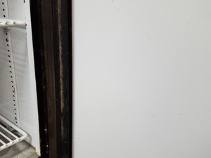 Thumbnail image of Darwin Chambers Insect Rearing Chamber  Model: IN024-DA Lab
