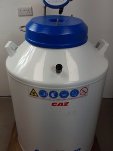 Thumbnail image of CryopAL Arpege 170 Air Liquide Liquid Nitrogen Cryogenic Storage Dewar Lab